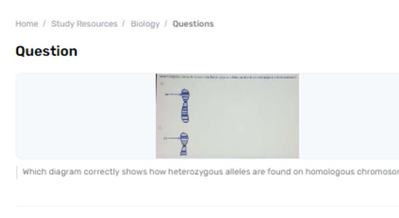 Which Chart Appears up Heterozygous Alleles On Homologous Chromosomes?